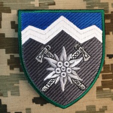 Нарукавний знак 10 окрема гірсько-штурмова бригада