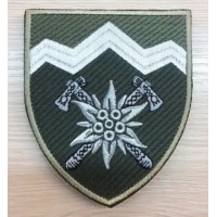 Нарукавний знак 10 окрема гірсько-штурмова бригада (олива)