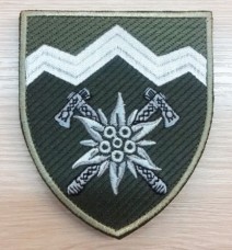 Нарукавний знак 10 окрема гірсько-штурмова бригада (олива)