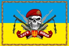 Прапор з мінометами Молот і черепом в береті Артилерія