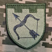 Шеврон 113 окрема бригада ТрО Харківська область Польовий