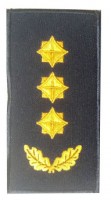 Погон полковник ДСНС (жовтий) Універсальний - муфта-липучка