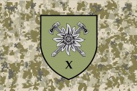Прапор 10 окрема гірсько-штурмова бригада Новий знак (піксель)