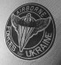 Реглан AIRBORNE FORCES OF UKRAINE (сірий) Coolmax