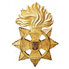 Емблеми на комірець Національна гвардія України (пара)