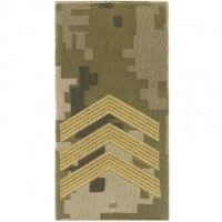 Погони ЗСУ нового зразка сержант пиксель ММ14 Муфта