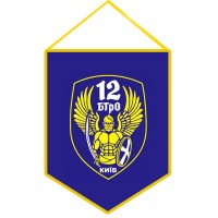 Вимпел 12 БТРО Київ - 12 Батальйон Тероборони