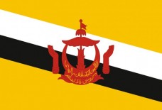 Купить Прапор Брунею в интернет-магазине Каптерка в Киеве и Украине