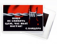 Купить Магніт Нiщо не спинить Iдею в интернет-магазине Каптерка в Киеве и Украине