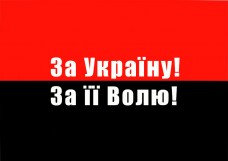 Купить Автомобільний прапорець За Україну За її Волю! в интернет-магазине Каптерка в Киеве и Украине