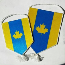 Вимпел Канада Україна