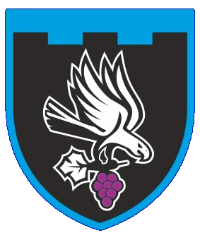 122 ОБ ТРО Ізюм
