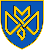 128 ОВМБр Дике Поле