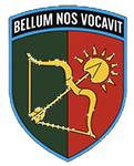 163 ОБМр