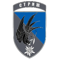 Батальйон безпілотних систем СТРИЖ 10 ОГШБр
