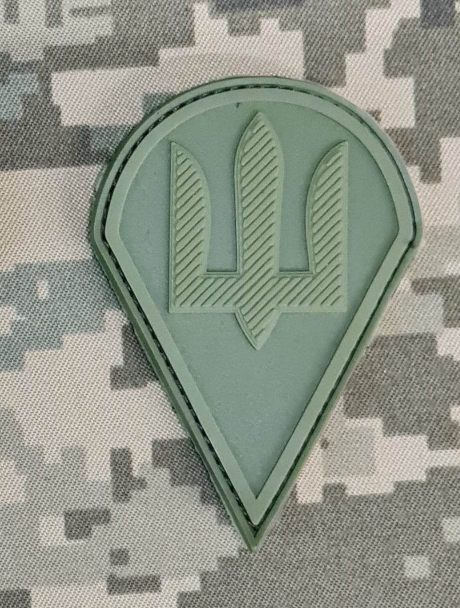 ДШВ знак нашивка