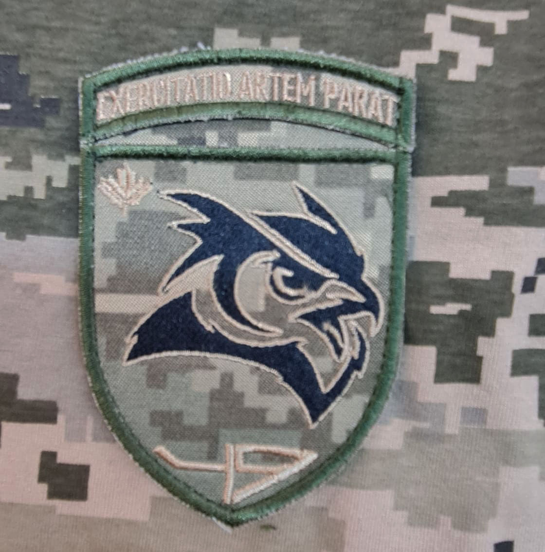 Нарукавний знак 49 Навчальний центр розвідки