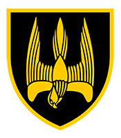 46 ОШБ Донбас